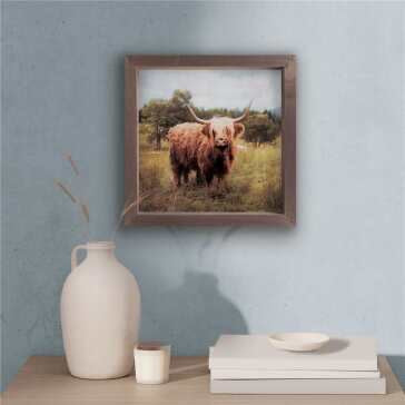 Art Framed Highland Cow
