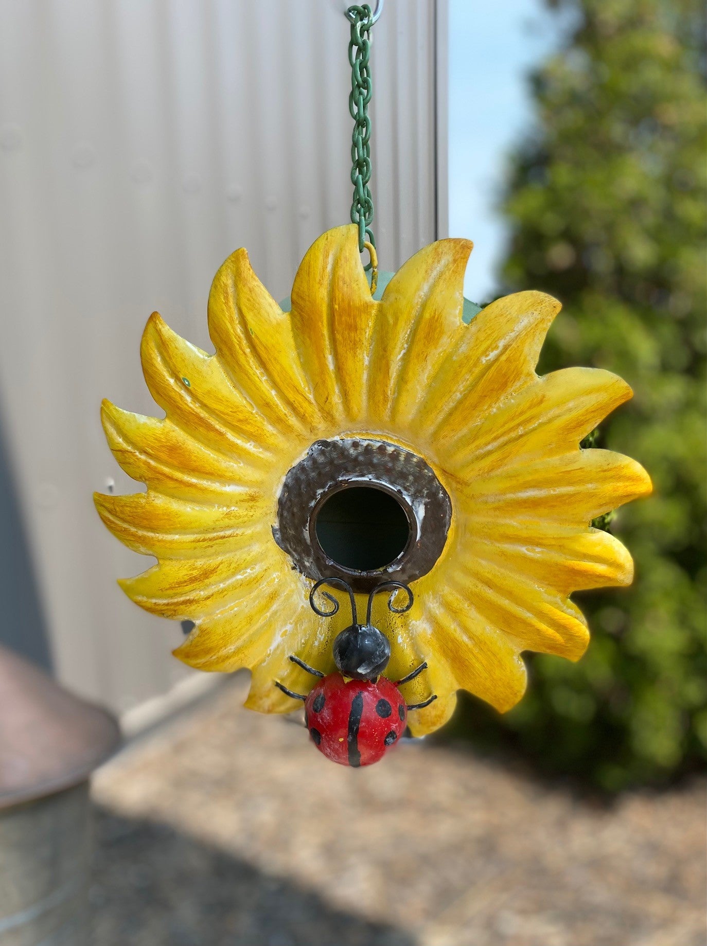 Birdhouse Sunflower