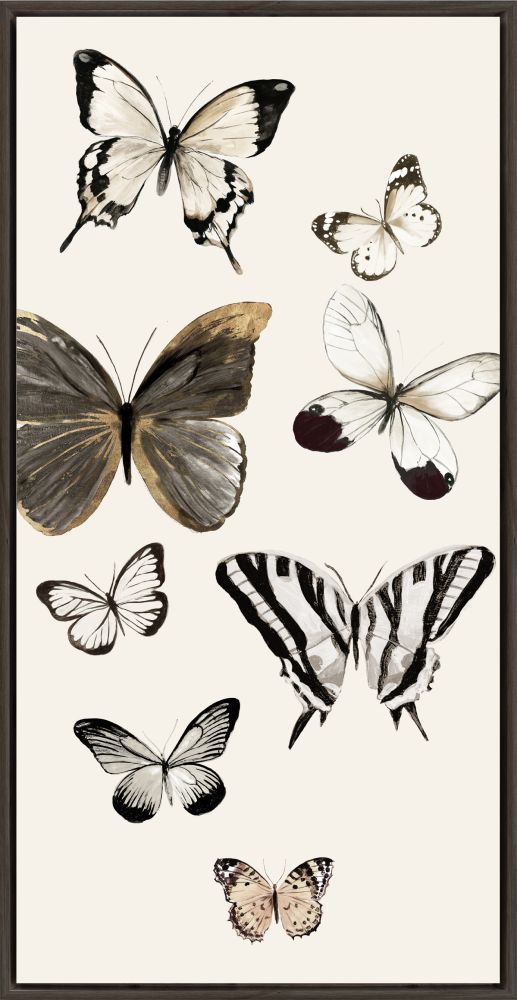 Butterflies Fly II